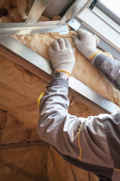 Best Insulation Maintenance and Repair in Monument, CO